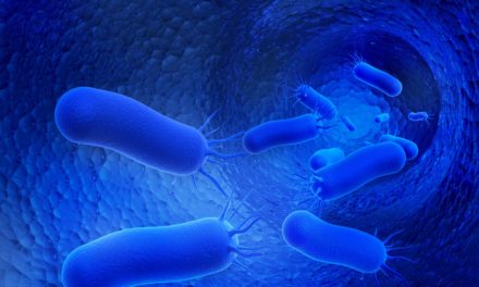 Ny type resistent bakterie er spredt i hele landet!