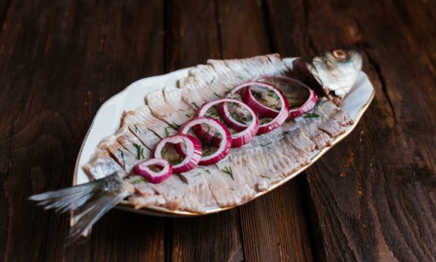 Fiskens Dag – er en familiedag!