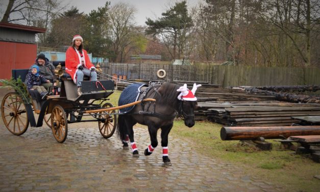 Fiskeri og Søfartmuseumet samlede igen mange til Julemarkedet!