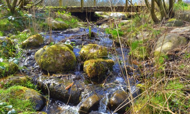 Naturen er stadig åben: Bliver nemmere at finde lokale naturoplevelser!