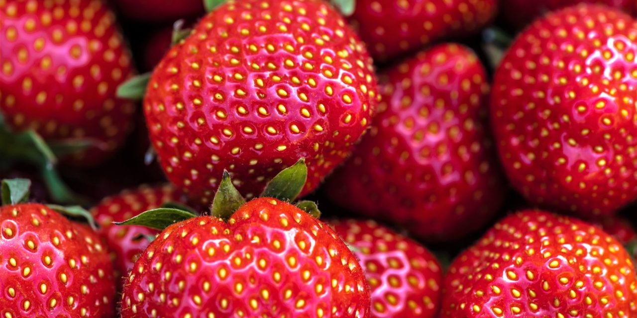 Årets første danske jordbær!