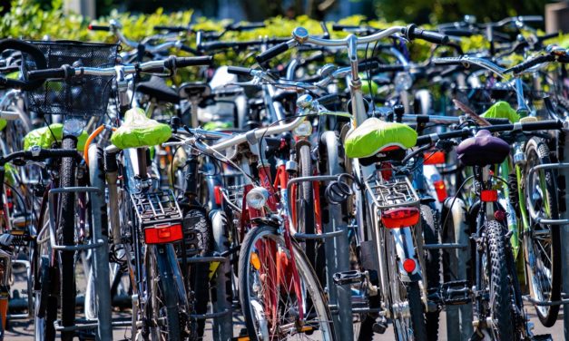 To polakker varetægtsfængslet i sag om cykeltyveri!