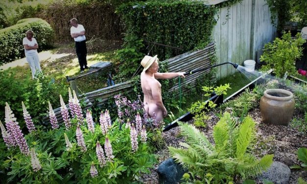 Pas på, hvis du arbejder nøgen i haven i dag!