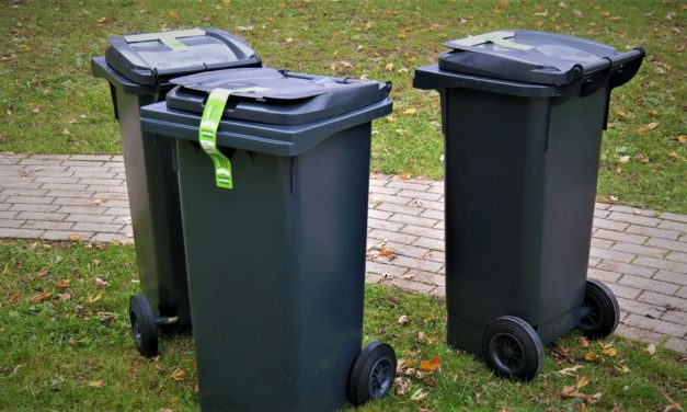 Efter sommerferien skal 35.000 husstande i Esbjerg Kommune sortere madaffald!