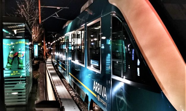 Tog afsporet: Ramte 15 køer!