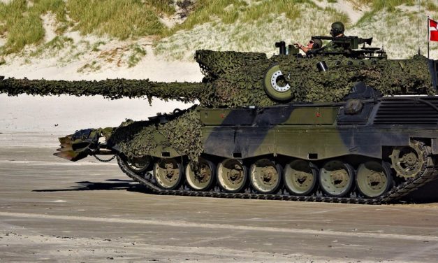 Advarsel: VILD-FARNE skud i sommerlandet!