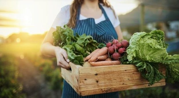 Mange unge køber økologi på trods af prisen!