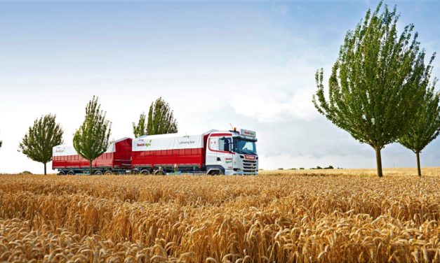 Vær opmærksom på foderblandinger efter tør høst!