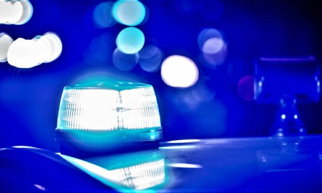 Ung Litauer havde 32,6 kg amfetamin i bilen!