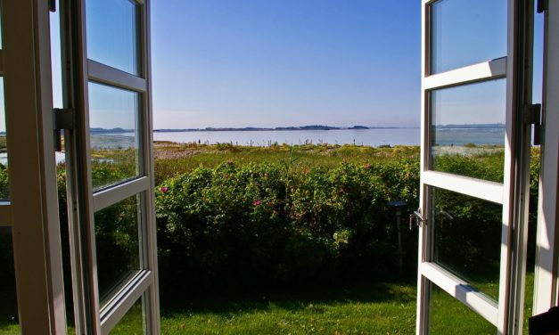 Denne vane i varmen kan koste dig dyrt!