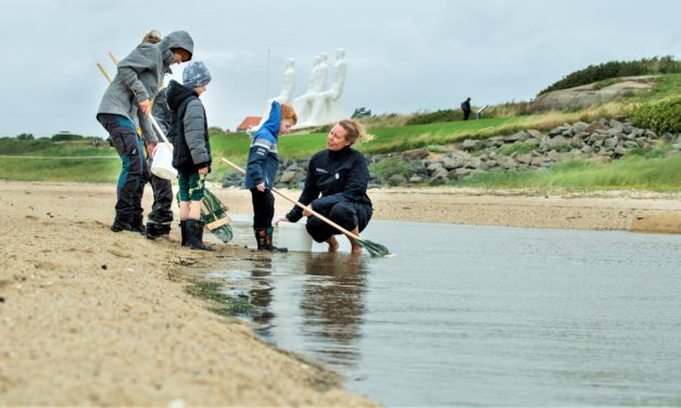 Stor succes i havets by Esbjerg!