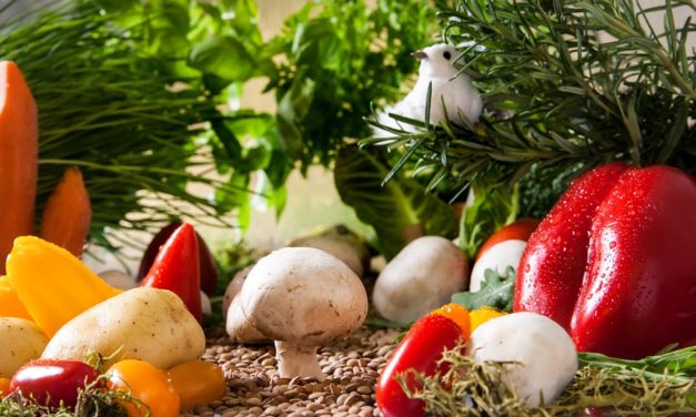 Lidl og Too Good To Go inviterer alle landets hverdagskokke til ‘DM i Overskudsretter’!