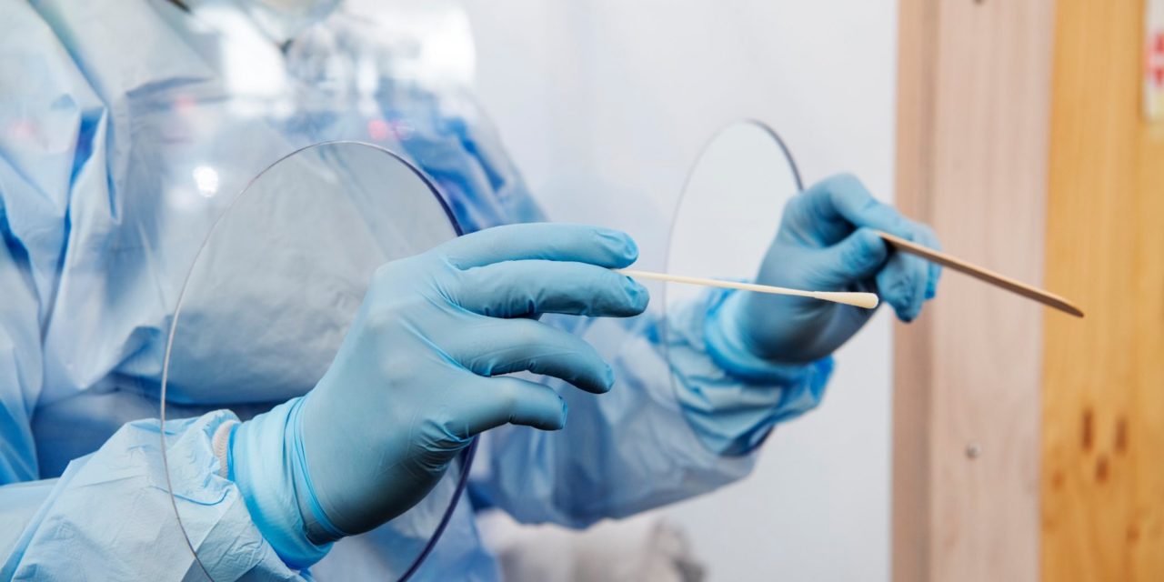 Medicin til sklerose-patienter hæmmer corona-virus – i hvert fald i reagensglasset!