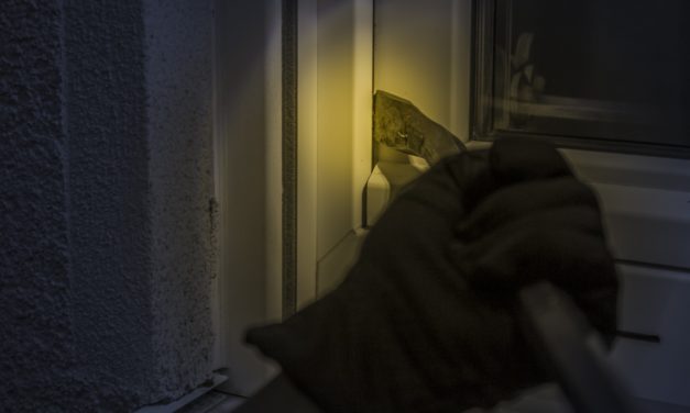 Brug pæren og stop tyven!