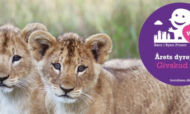 Givskud Zoo vandt igen – Årets Dyrepark 2020!
