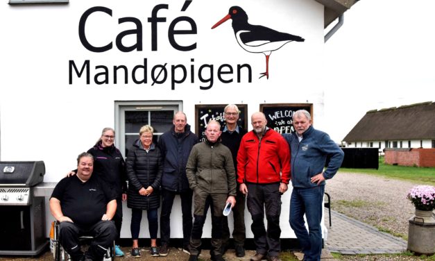 Bedre levesteder til fugle og padder på Mandø!