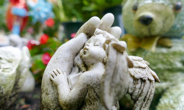 Ny lov: – Med en stor og vigtig anerkendelse!