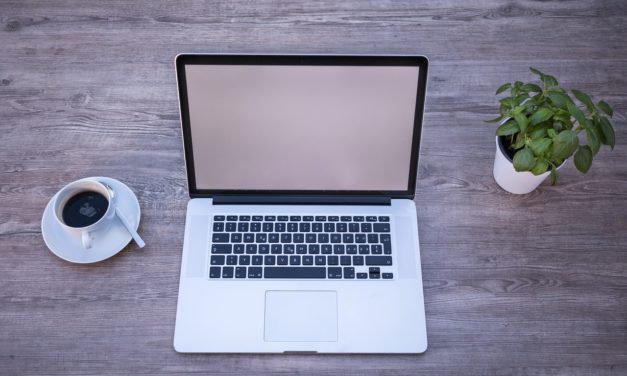 1.3 millioner euro til grøn digitalisering!