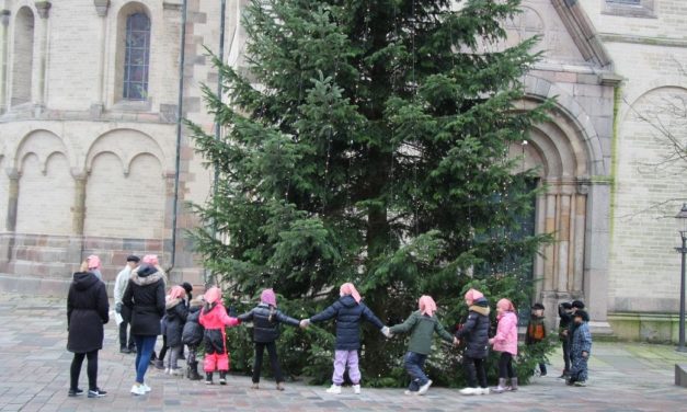 Skoletjenesten på Quedens Gaard fylder 10 år!