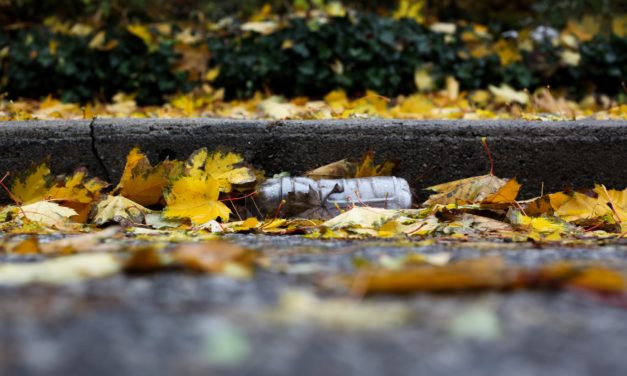 Vi mener det godt, men for mange pantflasker og dåser ryger i skraldespanden!