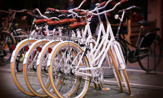 To litauere fremstilles i retten i dag for stort cykeltyveri i går!
