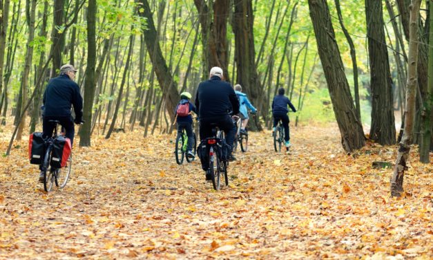 Find din indre viking frem og vær med i Cyklistforbundets Vintercyklingsuge!
