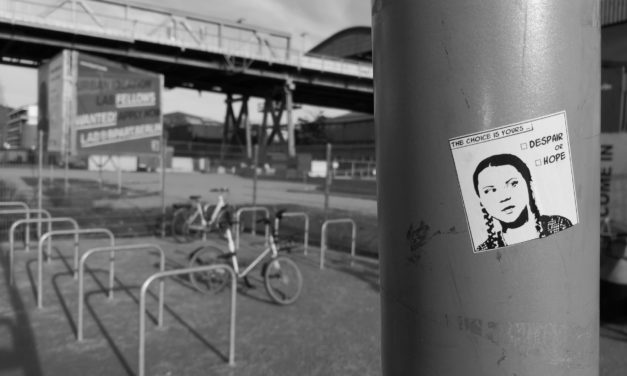 NU kan du slikke Greta Thunberg i nakken!