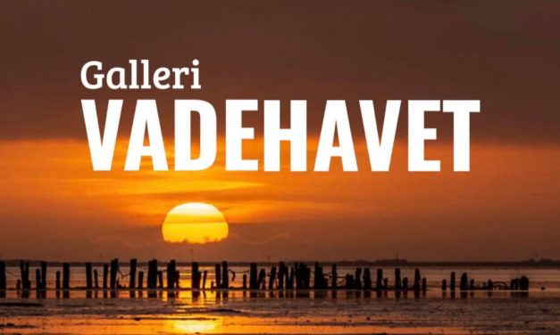 Galleri i Ribe satser på åbning i marts