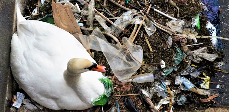 Gubra styrker Plastic Change i kampen mod plastforurening!