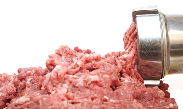 EU-Domstolen hamrer en pæl gennem de danske gebyrstigninger!