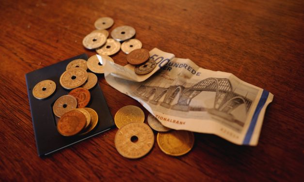 Udenlandske studerende snyder med SU!