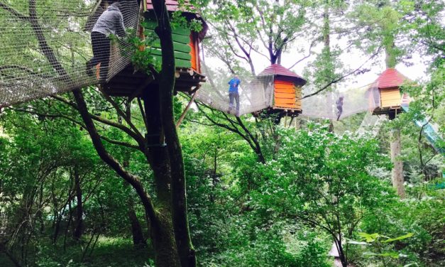 Alternativ undervisning afhjælper mistrivsel hos børn!