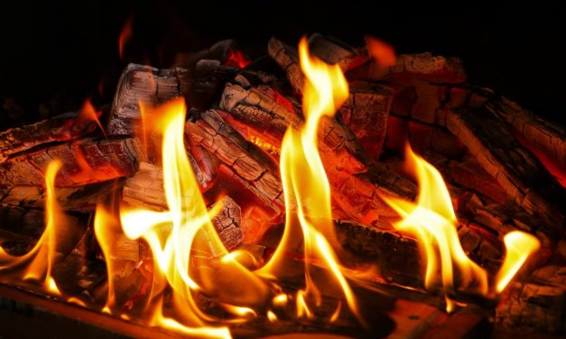 4 ting, du ikke må fyre med i din brændeovn!