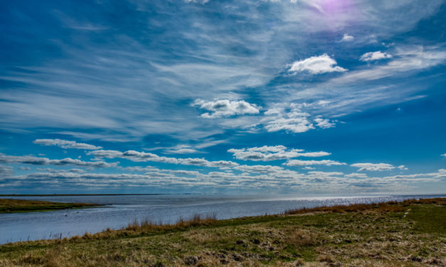 Nationalpark Vadehavet uddeler støtte til lokale projekter!