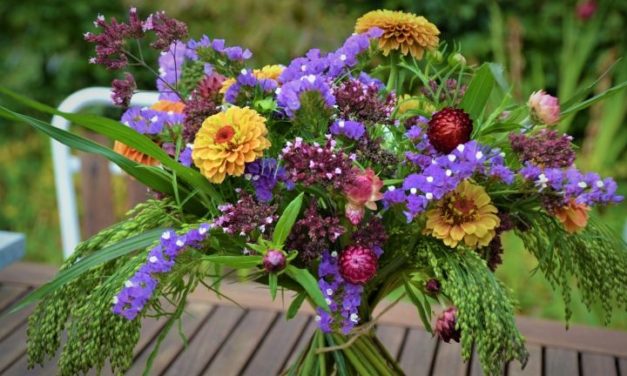 Høst dine egne buketter – skærehaven er populær som aldrig før!