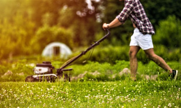 Hvornår skal du slå græs første gang?