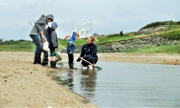 Vandbingo-eventyr til de natur(u)vante!