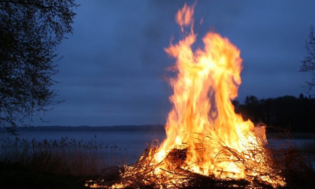 Sankthansbål er en dødsfælde for dyrene!