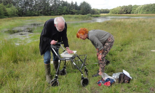 Bioblitz i Marbæk!