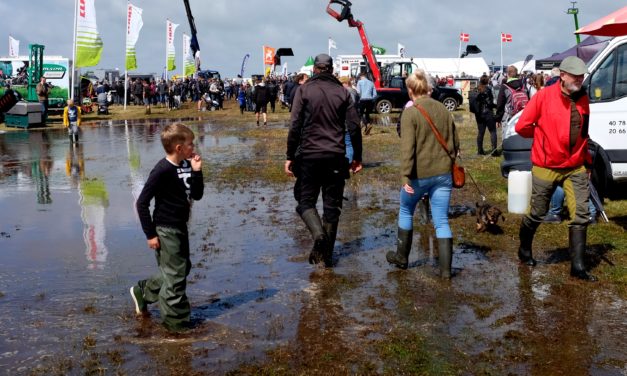 Dyrskue i Ribe – vand vand og atter vand!