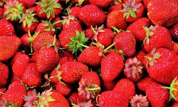 Bor du i en jordbærkommune eller solbærkommune?