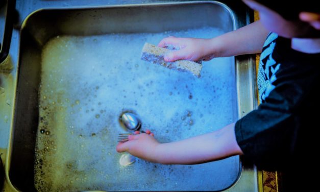 Opvask i hånden koster over 200 mio. kr. om året!