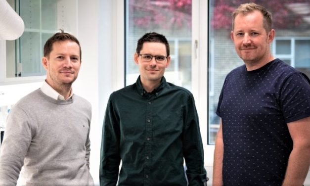 Vigtig immuncelle vokser for første gang i et laboratorium!
