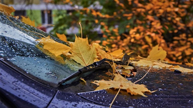 Efteråret rusker også i din bil!