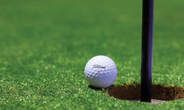 Esbjerg Golfklub ligger græs til Super Cup!