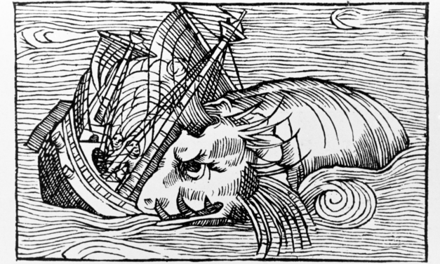 Fiskeri- og Søfartsmuseet modtager stor donation fra Augustinus Fonden!
