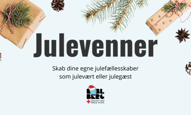 Ingen skal sidde alene i højtider som jul og nytår!