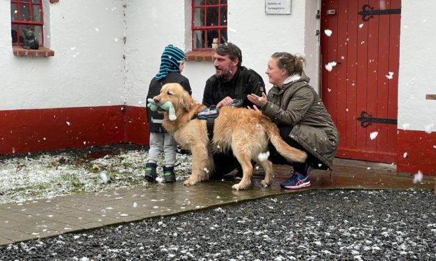 Den sidste golden retriever er rejst i nyt hjem!
