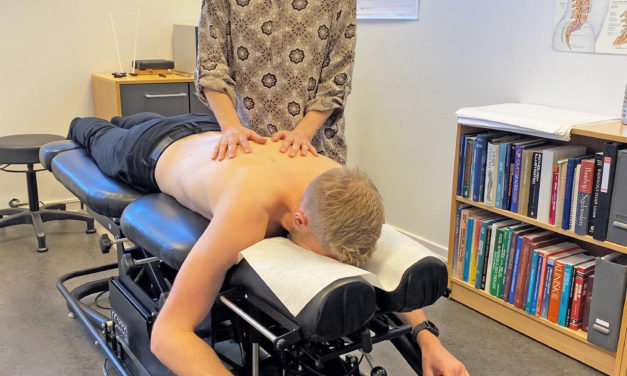 <strong>Kiropraktorer: Vi vil smitte patienterne!</strong>