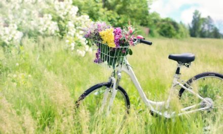 Her er danskernes top 10 cykelmærker: Er din med på listen?